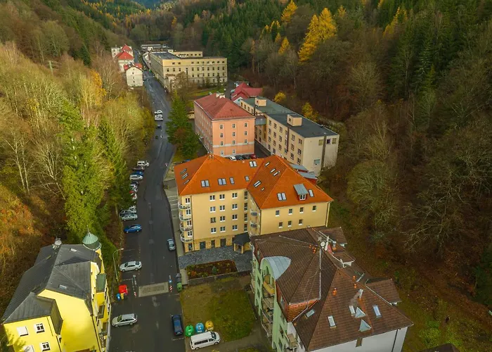 Daire Forest With Sauna Jáchymov